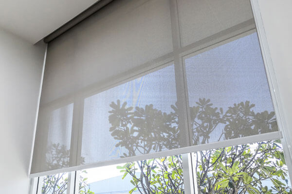 window covering